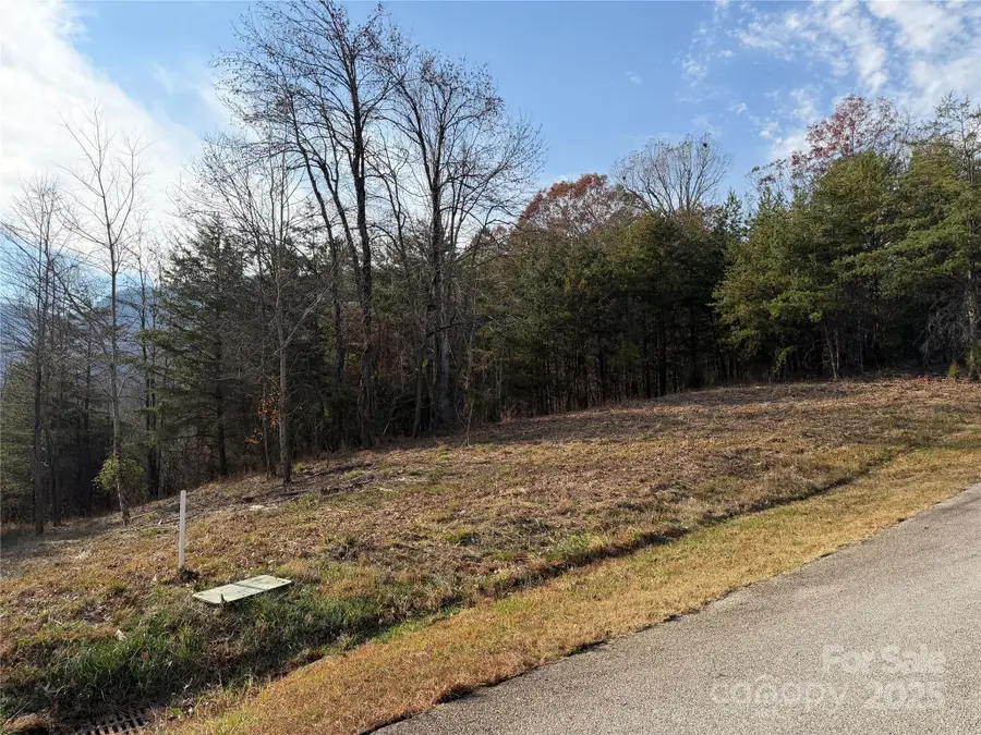 99999 Chestertown Drive, Mill Spring, NC 28756 - Image #2