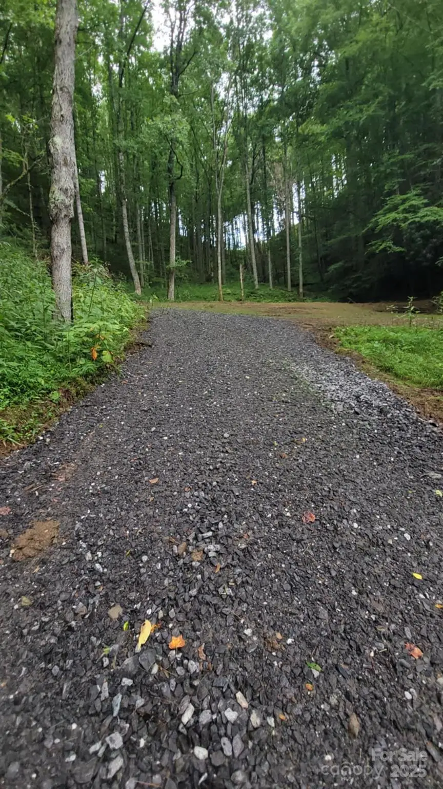 295 Bennett Branch Road, Green Mountain, NC 28740 - Image #3