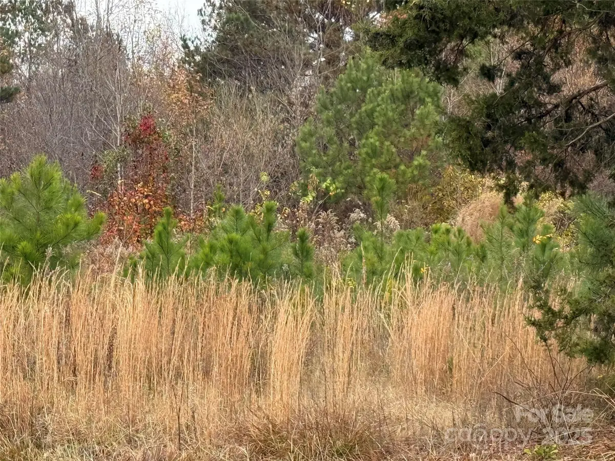 13315-2 Ramah Church Road, Huntersville, NC 28078 - Image #1