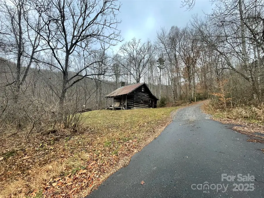 805 Sparkling Falls Road, Whittier, NC 28789 - Image #2