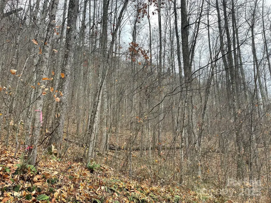 805 Sparkling Falls Road, Whittier, NC 28789 - Image #3