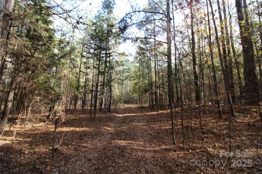 6+/-AC Bookout Road, Rock Hill, SC 29730 - Image #3