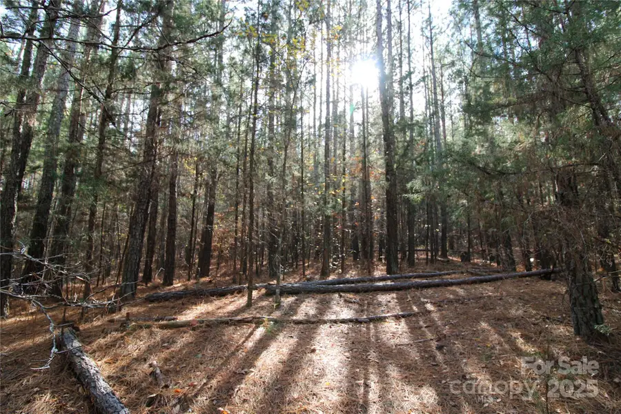 5+/-AC Bookout Road, Rock Hill, SC 29730 - Image #3