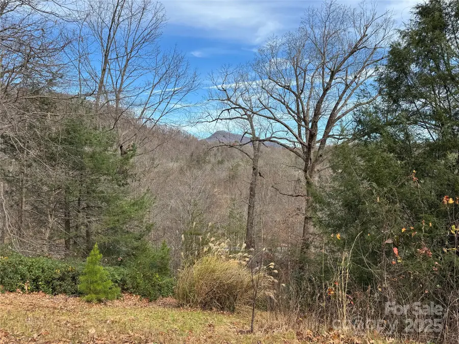 0 Deer Trail #16, Lake Lure, NC 28746 - #3