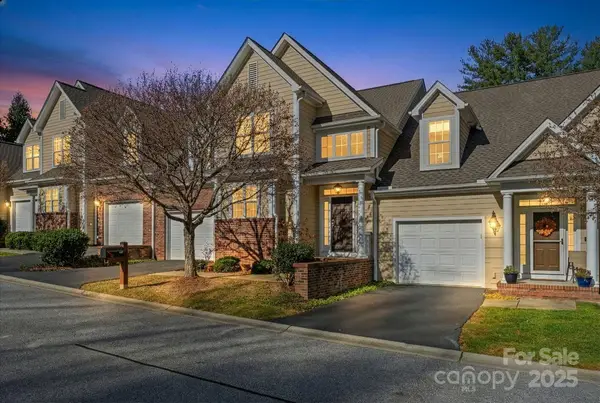 48 Black Horse Run, Biltmore Lake, NC 28715