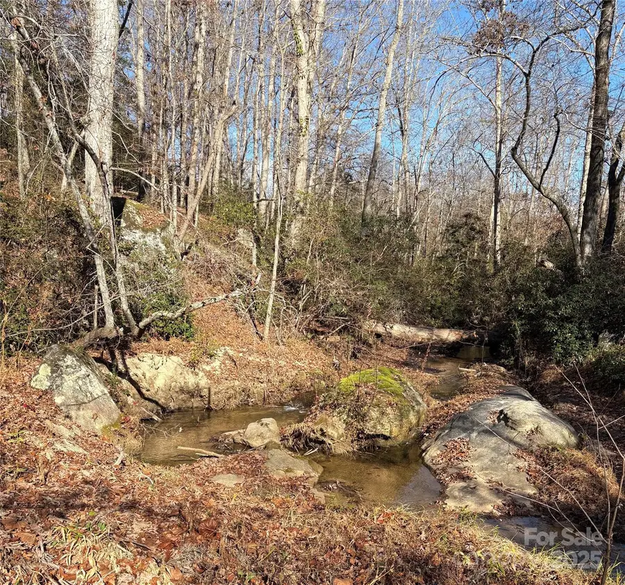 0 Henson Road, Forest City, NC 28043 - Image #2