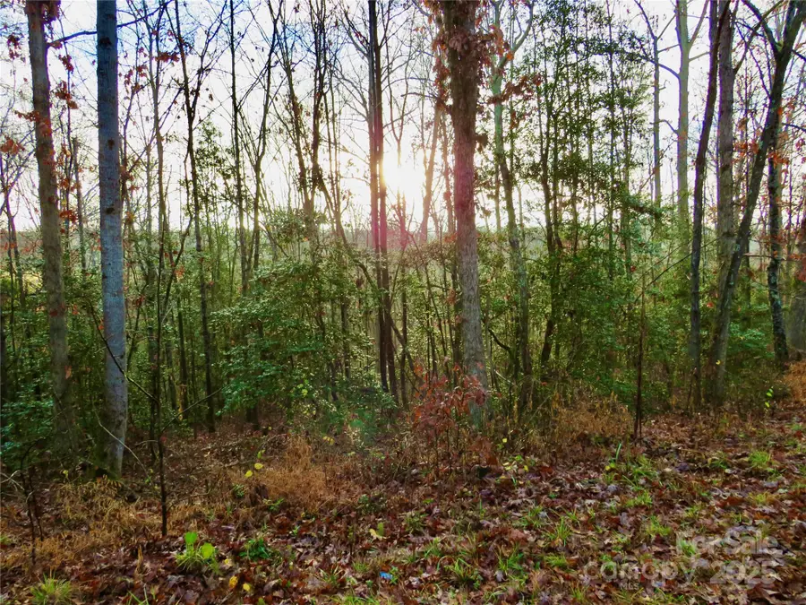 0 Henson Road, Forest City, NC 28043 - Image #3