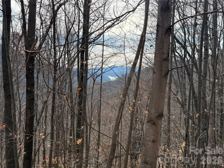 Lot 375 Rolling Ridge Trail, Lake Lure, NC 28746 - #2