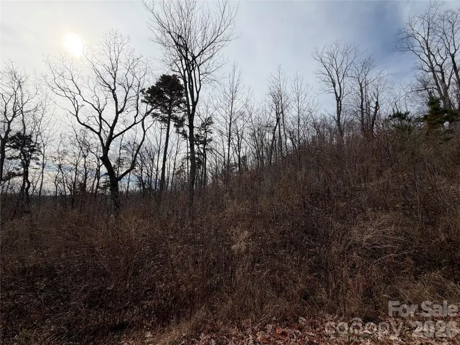 Lot 375 Rolling Ridge Trail, Lake Lure, NC 28746 - #3