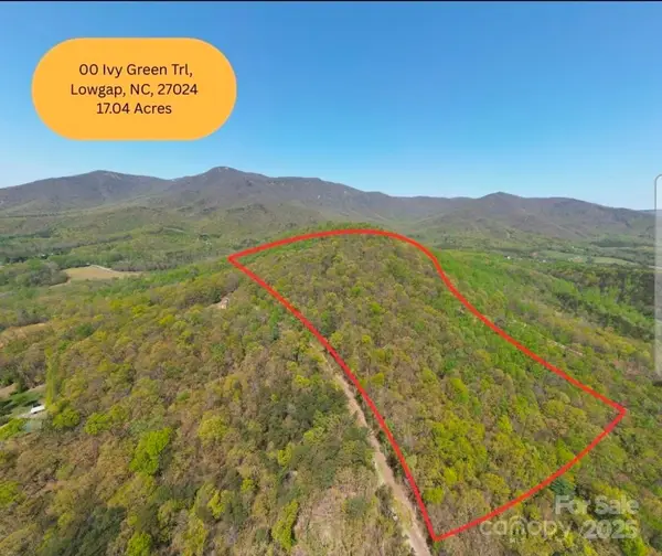 TBD Ivy Green Trail, Lowgap, NC 27024