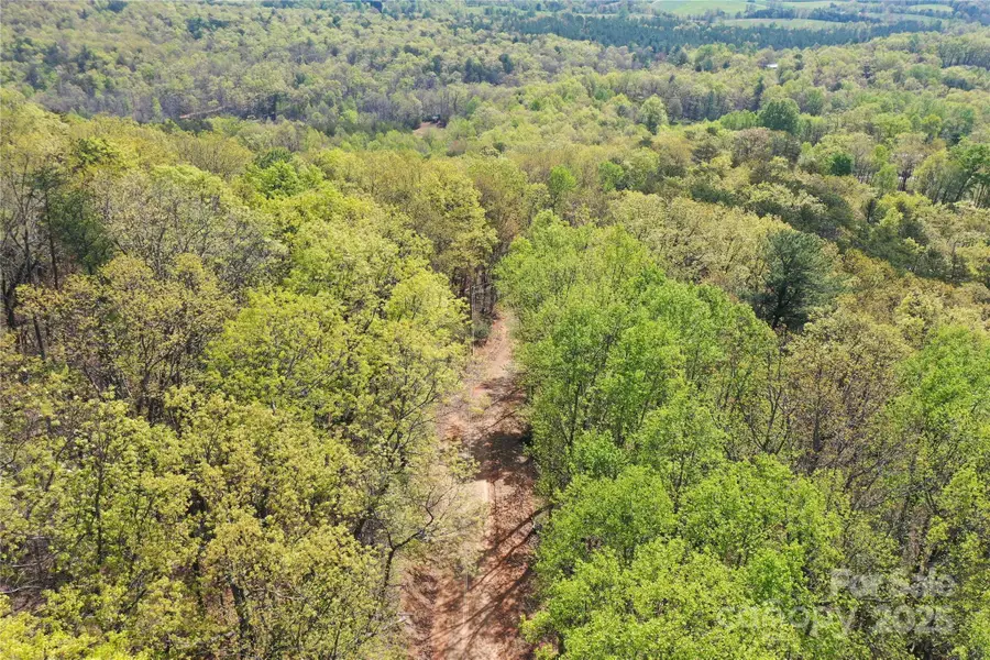 TBD Ivy Green Trail, Lowgap, NC 27024 - Image #2