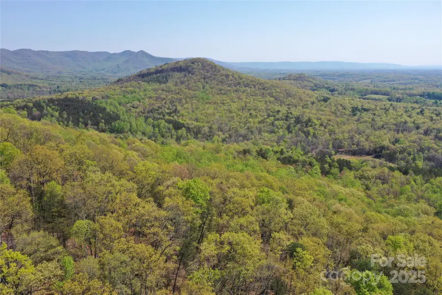 TBD Ivy Green Trail, Lowgap, NC 27024 - Image #3