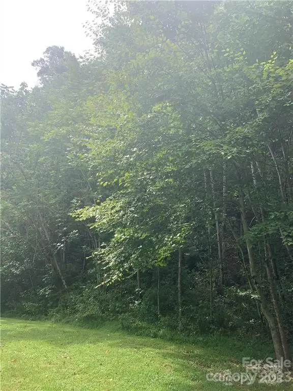 147 W Splitrail Drive #5, Hendersonville, NC 28792 - Image #3