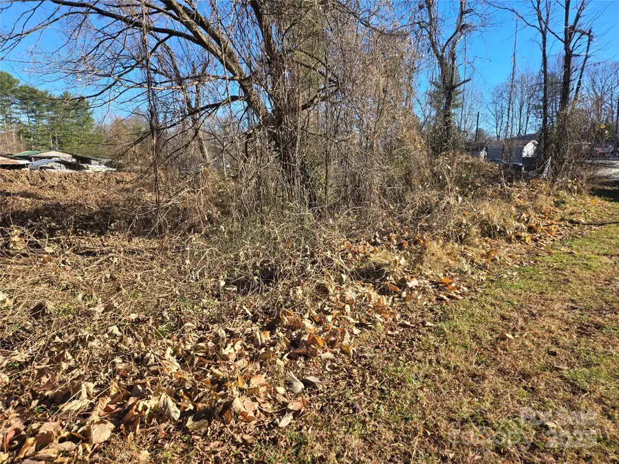 73 Trailing Vine Lane, East Flat Rock, NC 28726 - Image #2