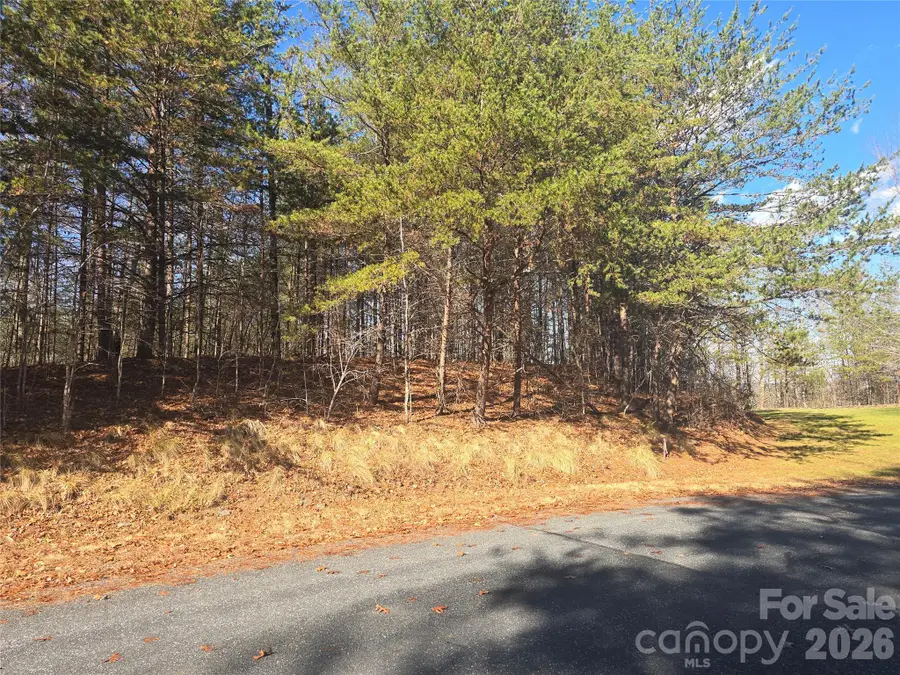 lot 60 Lake Adger Parkway #60, Mill Spring, NC 28756 - #2