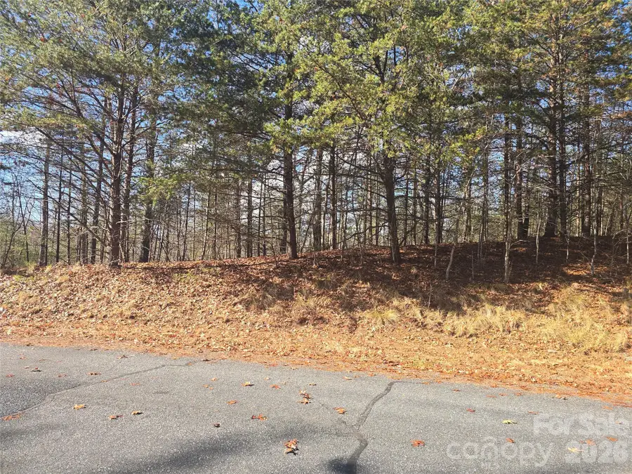 lot 60 Lake Adger Parkway #60, Mill Spring, NC 28756 - #3
