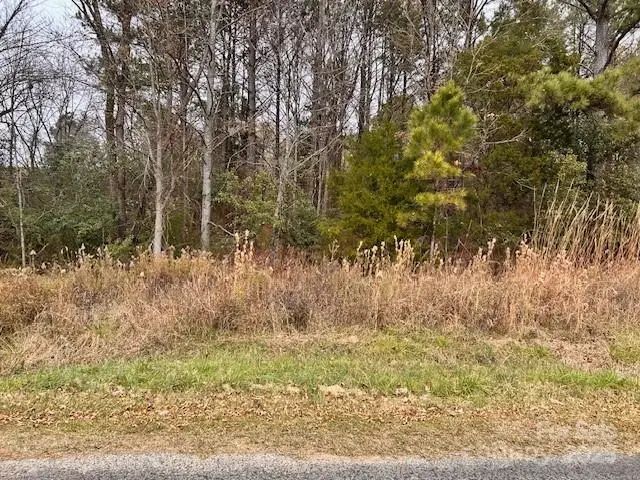 000 Ray Lee Street, Norwood, NC 28128 - Image #3
