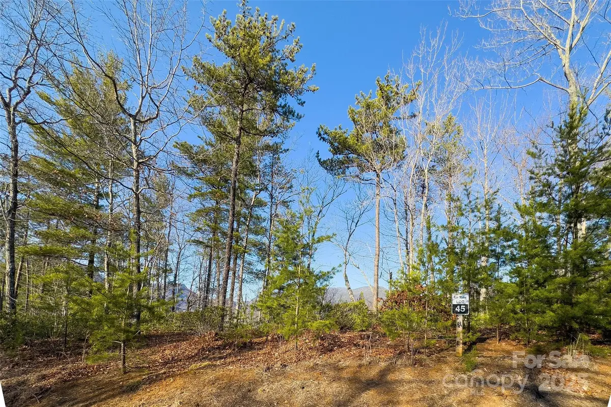 Lot #45 Fox Ridge Trail, Marion, NC 28752 - Image #1