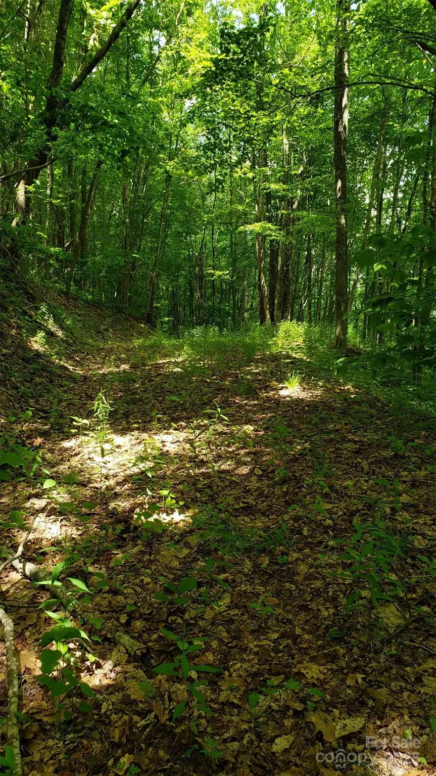 1111 E Clubhouse Road, Sylva, NC 28779 - Image #1