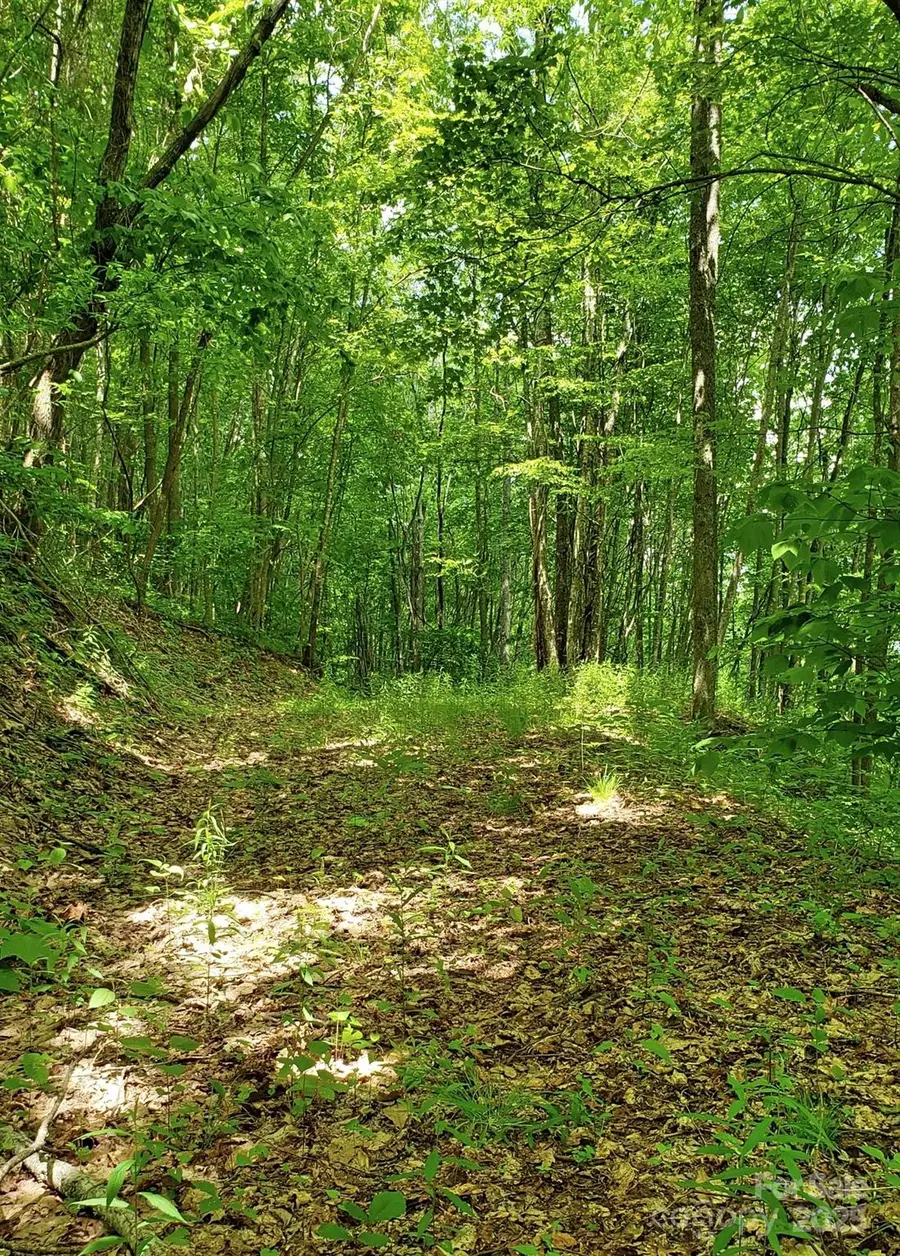 1111 E Clubhouse Road, Sylva, NC 28779 - Image #2