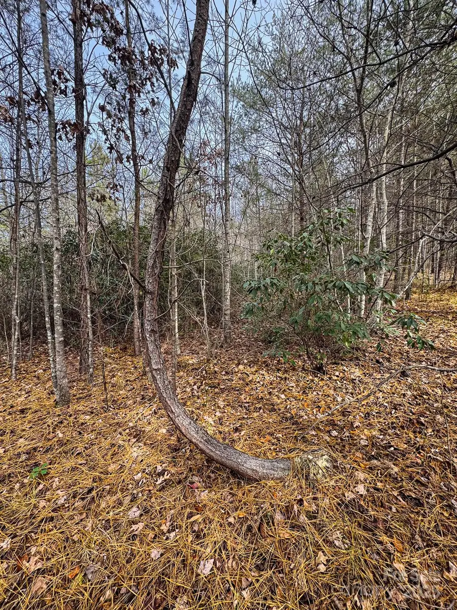 3510 Us 64 Highway, Rutherfordton, NC 28139 - Image #3