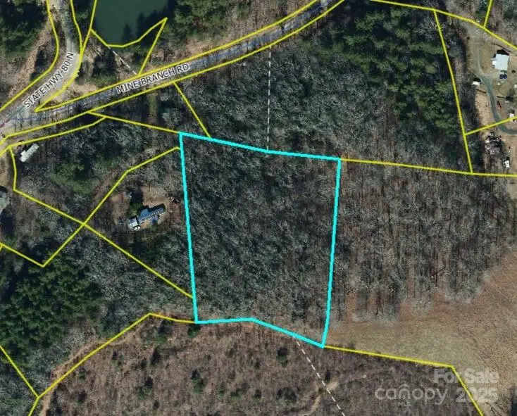 000 Mine Branch Road, Burnsville, NC 28714 - Image #1