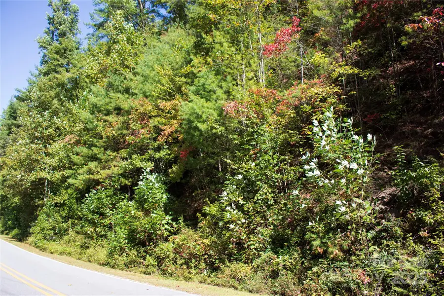 TBD Frozen Creek None #34, Brevard, NC 28712 - Image #2