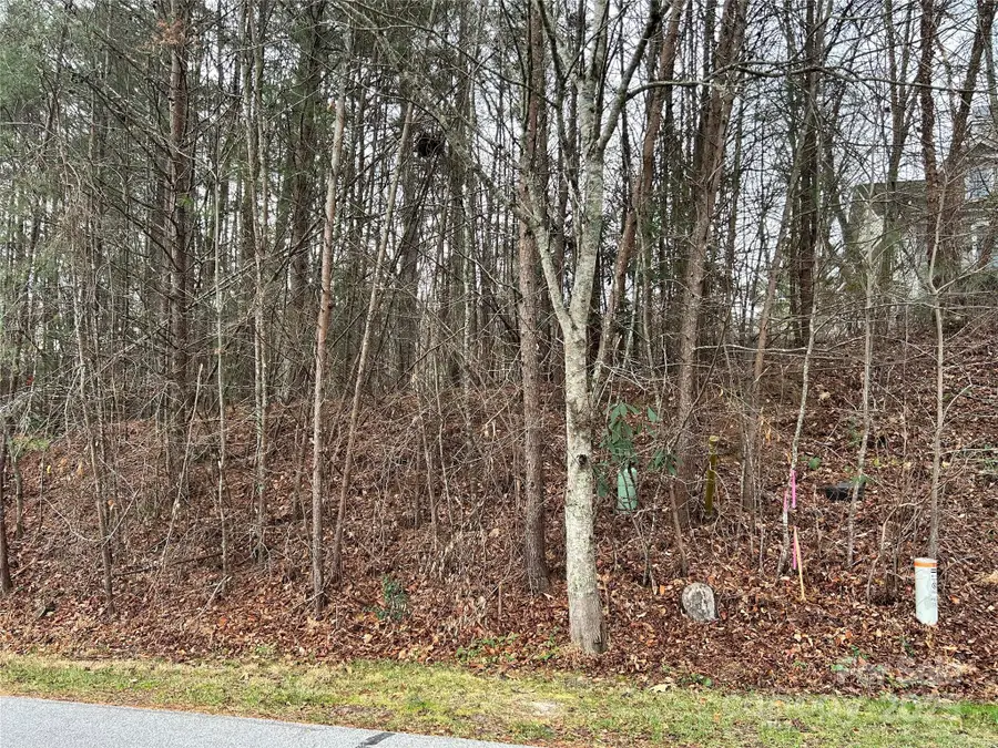 00 Cyprus Creek Lane #22, Hendersonville, NC 28791 - Image #3