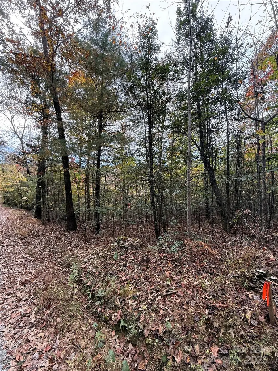 Lot # 4 West Legacy Drive #4, Hendersonville, NC 28739 - Image #3