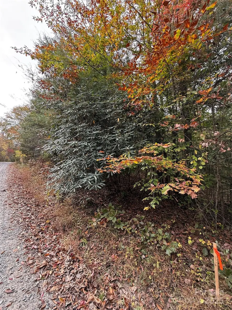 Lot # 5 West Legacy Drive #5, Hendersonville, NC 28739 - Image #3