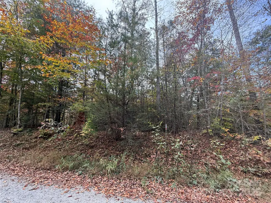 Lot # 6 West Legacy Drive #6, Hendersonville, NC 28739 - Image #2