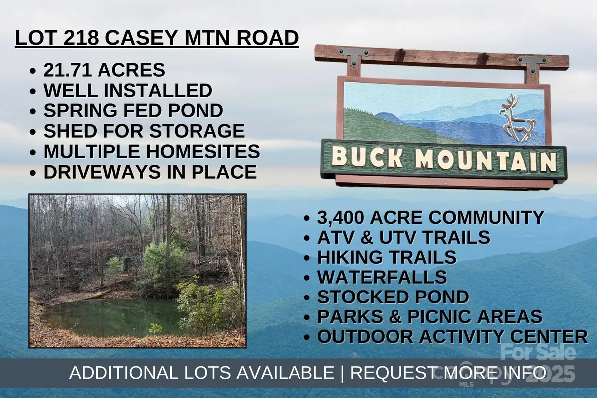 TBD Casey Mountain Road #218, Purlear, NC 28665 - #1