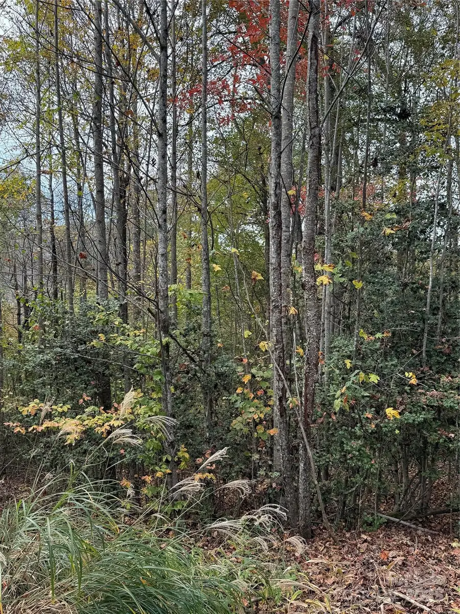 Lot # 7 West Legacy Drive #7, Hendersonville, NC 28739 - Image #3