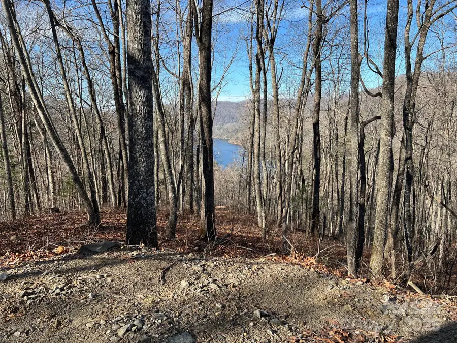 762 Scarlet Oak Road, Tuckasegee, NC 28783 - Image #2