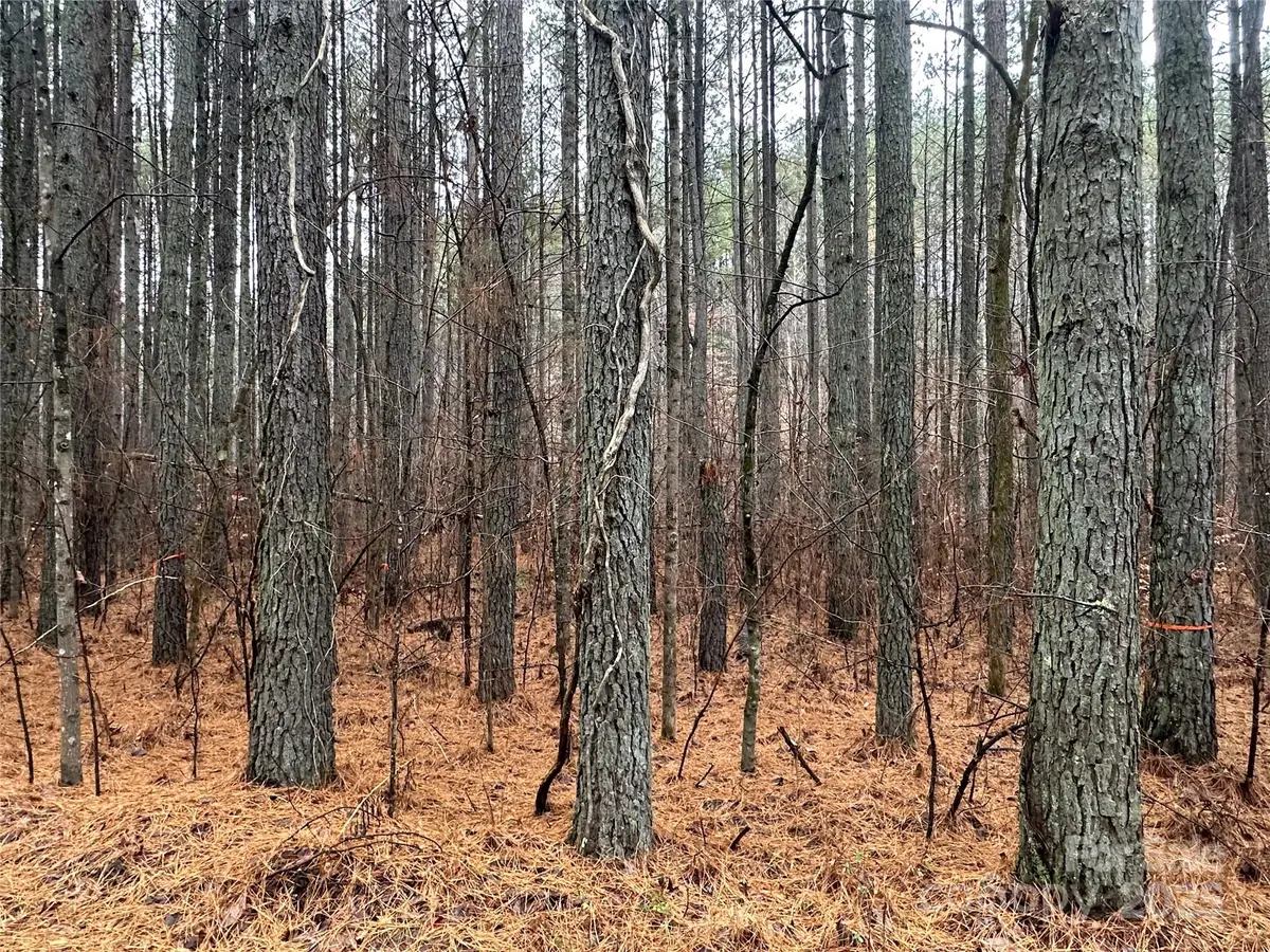 0 Frog Creek Road, Union Mills, NC 28167 - Image #1