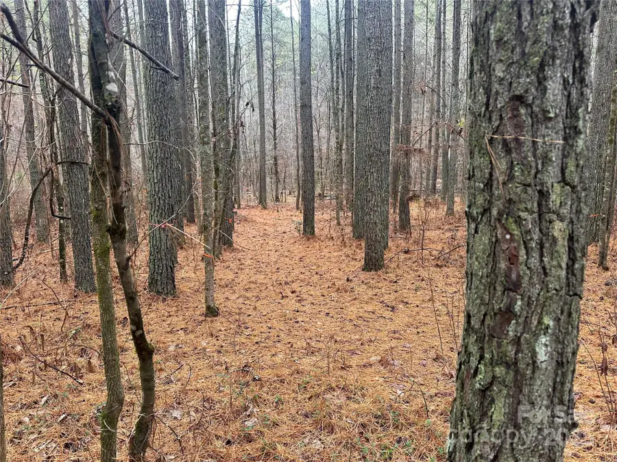 0 Frog Creek Road, Union Mills, NC 28167 - Image #2