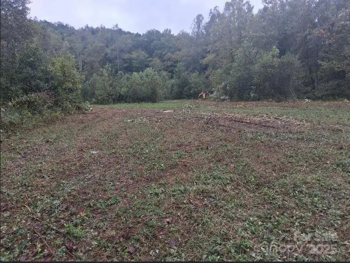 tbd 2 Morgan Lake Road #2, Marion, NC 28752 - Image #2