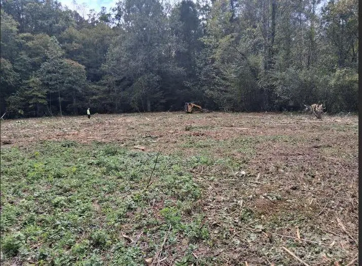 tbd 3 Morgan Lake Road #3, Marion, NC 28752 - Image #3