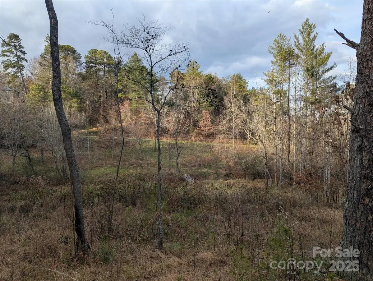 36 Country Cove Court #6, Leicester, NC 28748 - Image #1