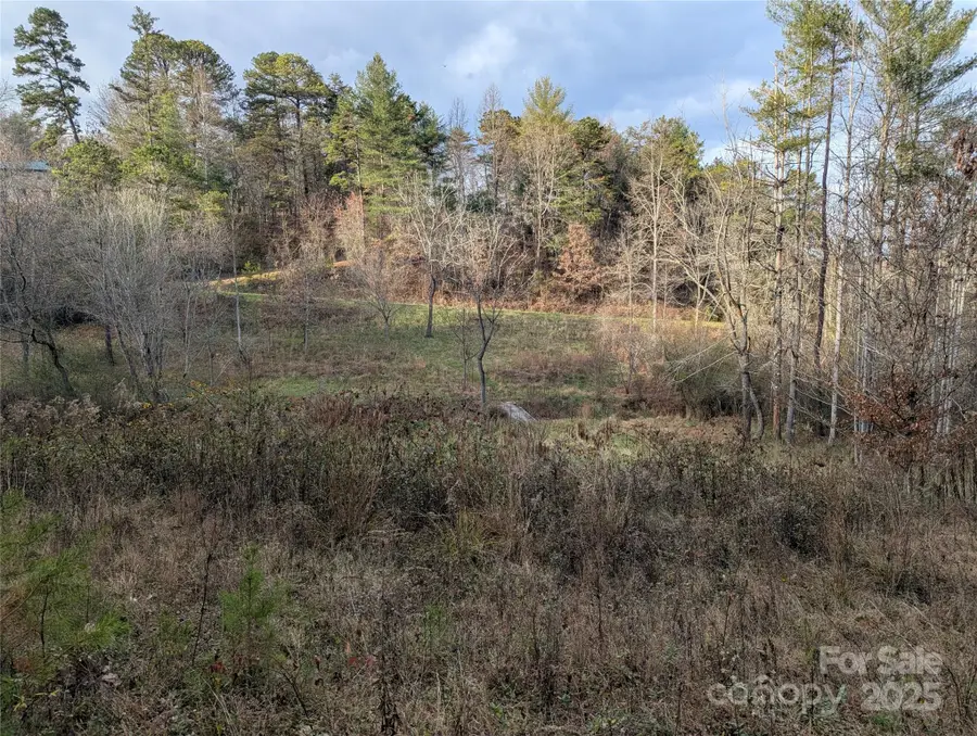 36 Country Cove Court #6, Leicester, NC 28748 - Image #2