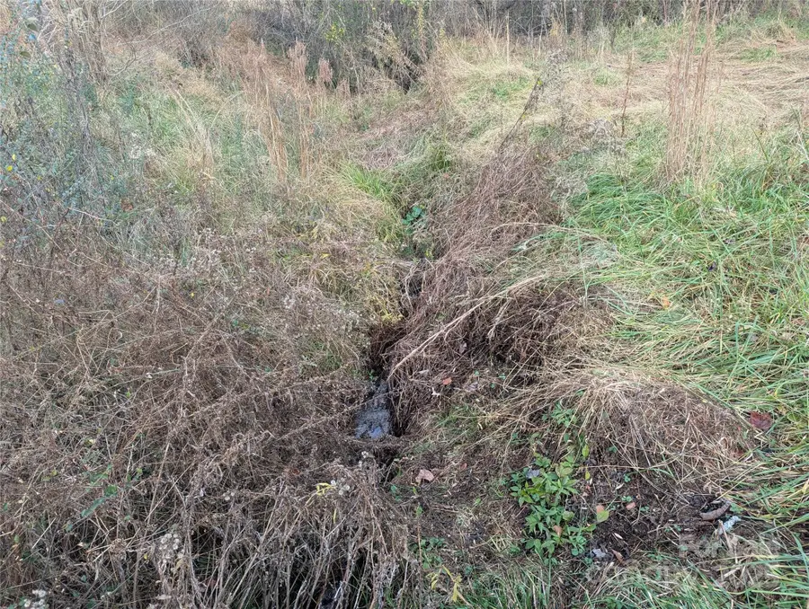 36 Country Cove Court #6, Leicester, NC 28748 - Image #3