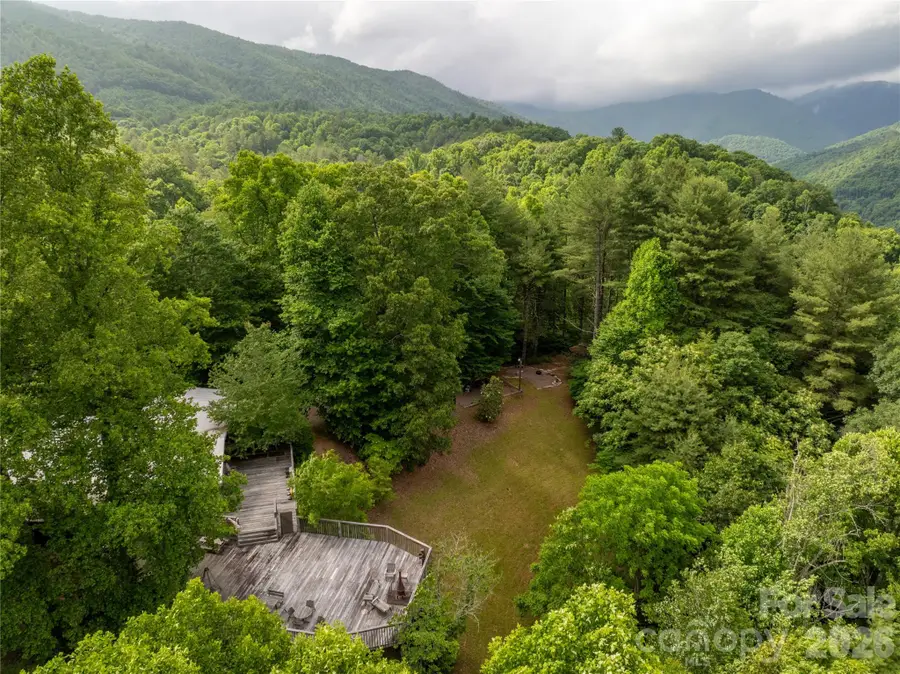 2736 White Oak Flats Road, Green Mountain, NC 28740 - #2