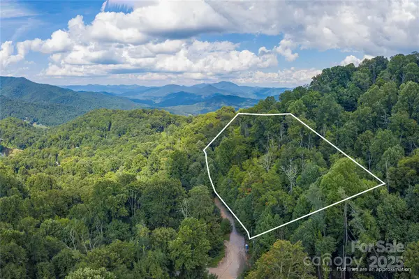 00 Pitch Fork Cove #525, Waynesville, NC 28785