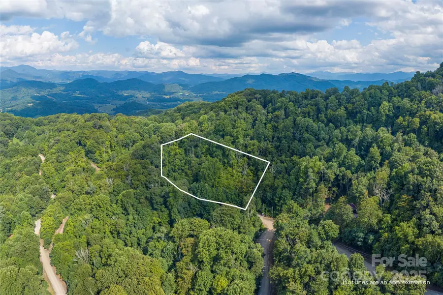 00 Pitch Fork Cove #525, Waynesville, NC 28785 - Image #2