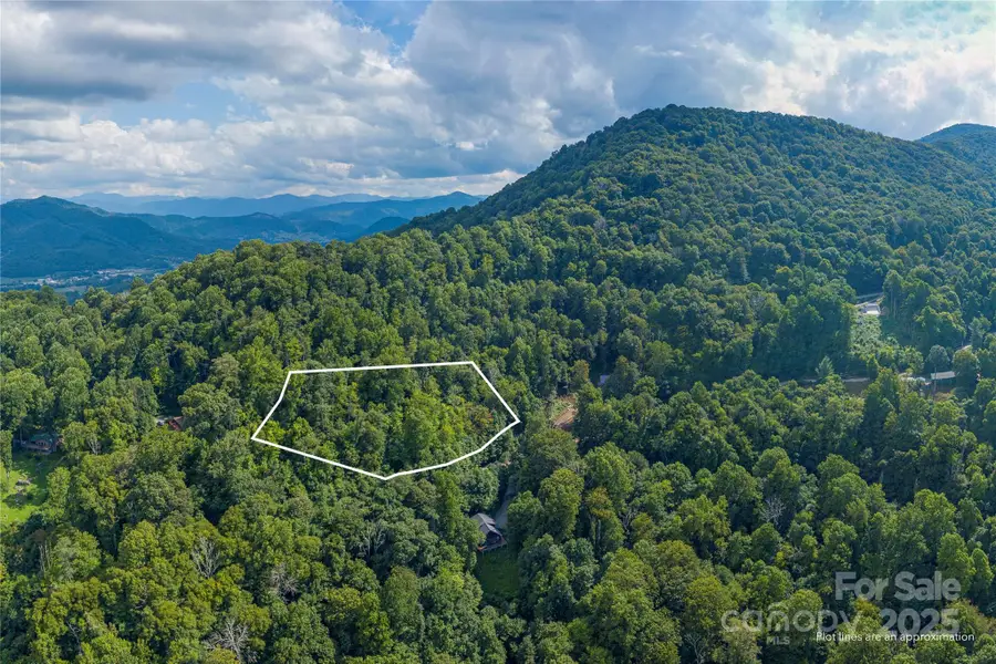 00 Pitch Fork Cove #525, Waynesville, NC 28785 - Image #3