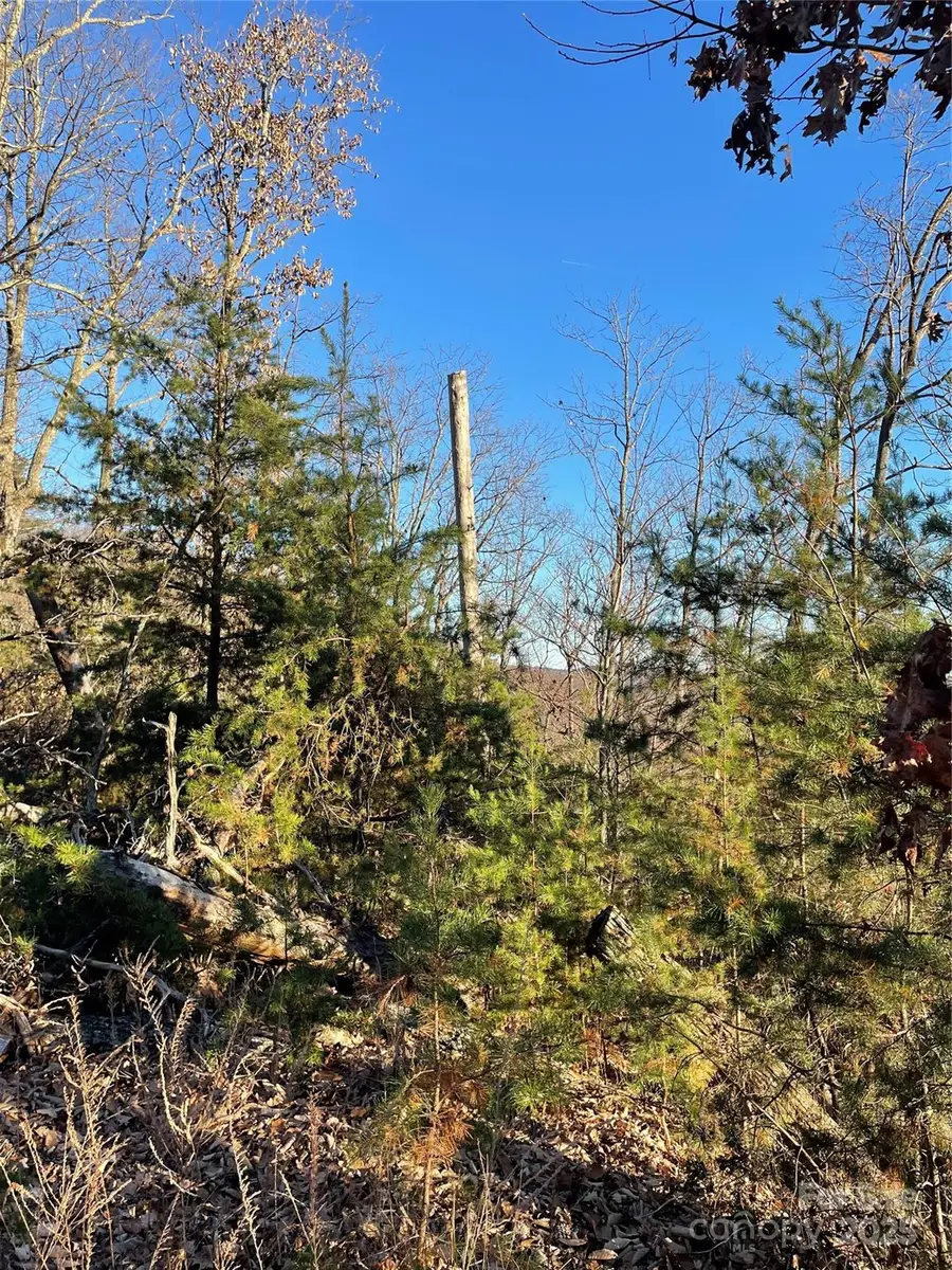 0 Brighton Drive #237, Bostic, NC 28018 - #2