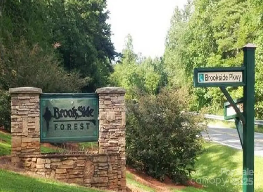0 Brookside Parkway #43, Lake Lure, NC 28746 - #2
