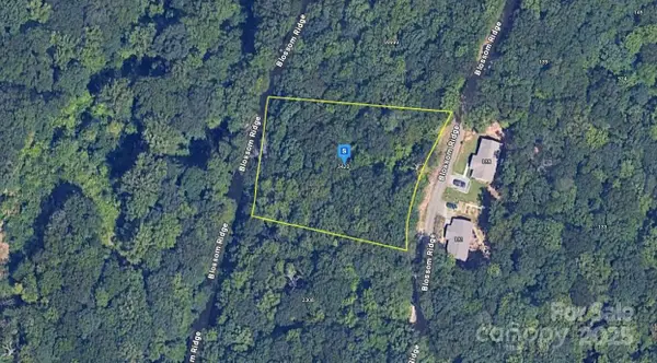 128 Blossom Ridge, Leicester, NC 28748