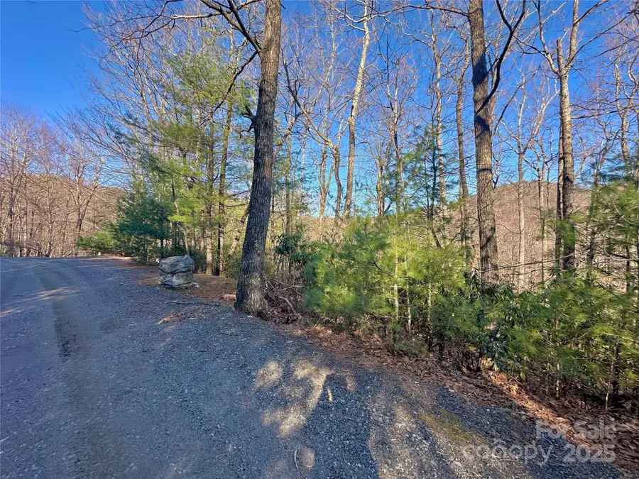 TBD Moonbeam Lane #24, 25, Deep Gap, NC 28618 - Image #3