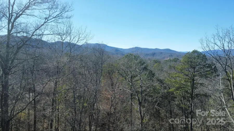 000 Hornet Drive, Whittier, NC 28789 - Image #3